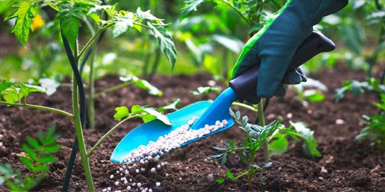 Farm inputs and supplies